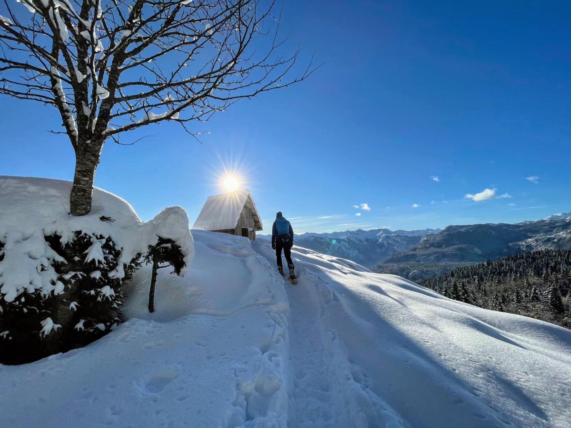 Chalet Hike&Bike Above Bohinj Valley Εξωτερικό φωτογραφία